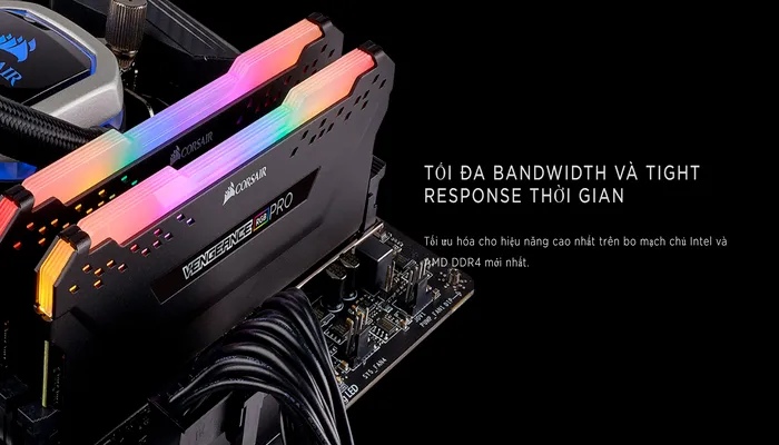 Gợi ý một số thương hiệu RDIMM uy tín