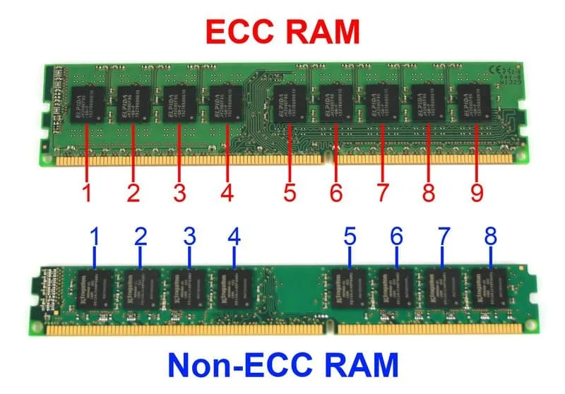 RDIMM ECC và Non-ECC