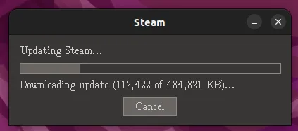Khởi chạy Steam