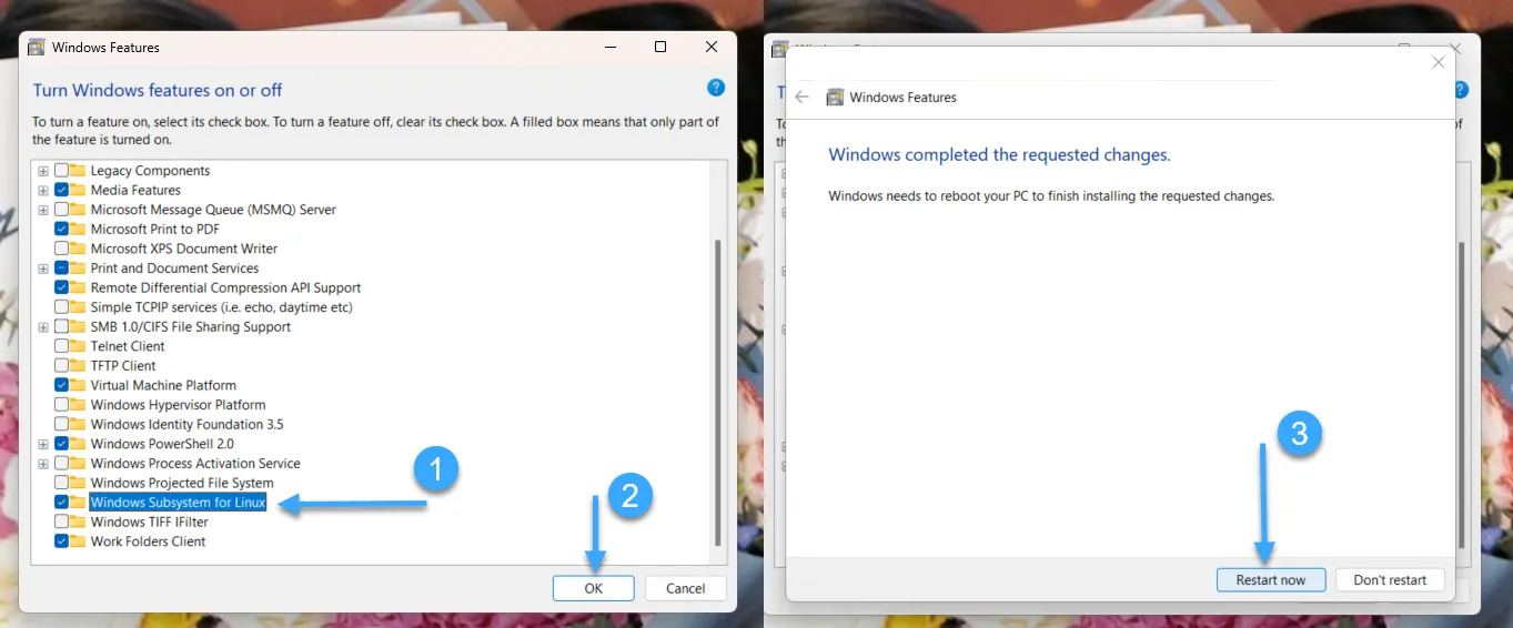 Chọn Windows Subsystem for Linux
