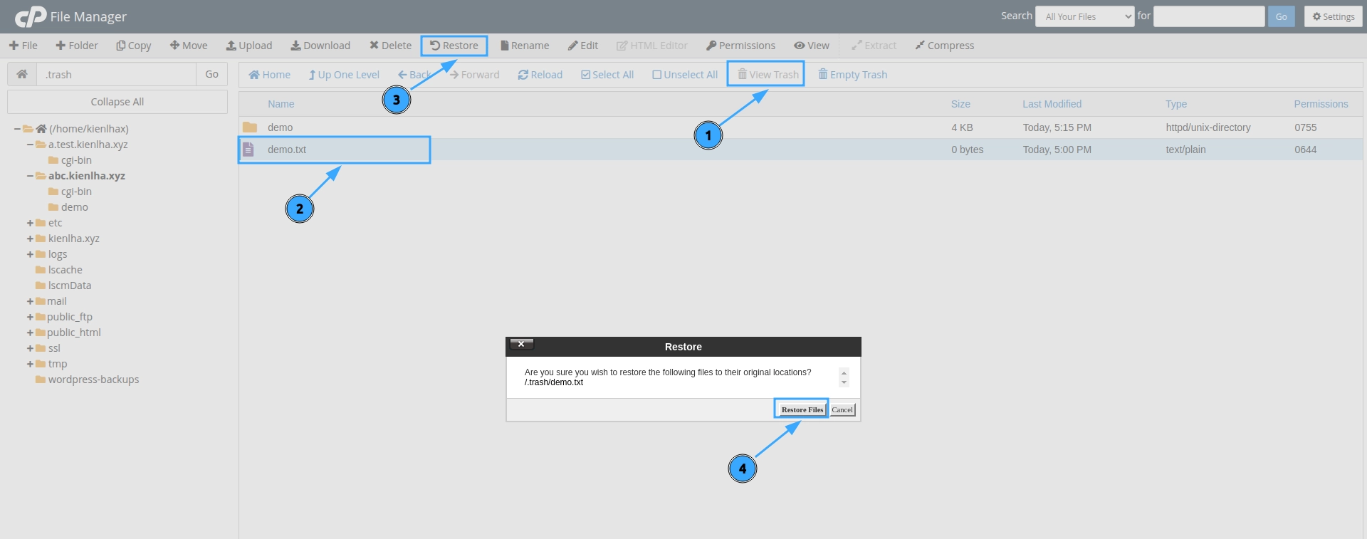 Khôi phục file và thư mục đã xoá