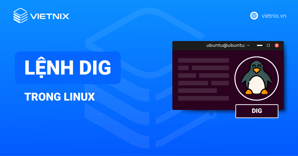 Lệnh dig trong Linux