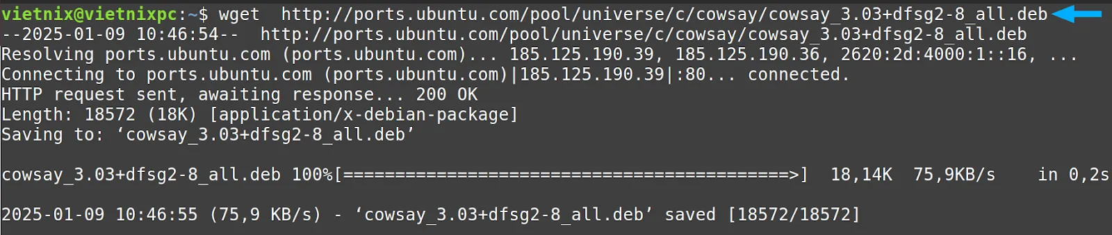 Tải lệnh dpkg trong Linux