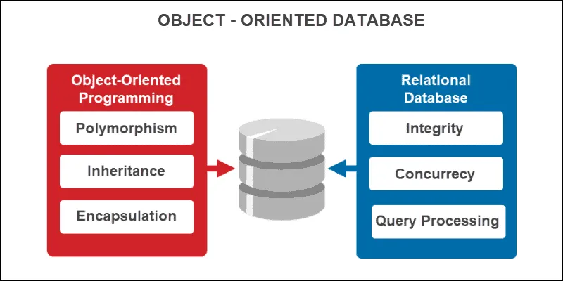 Object-Oriented Database Server