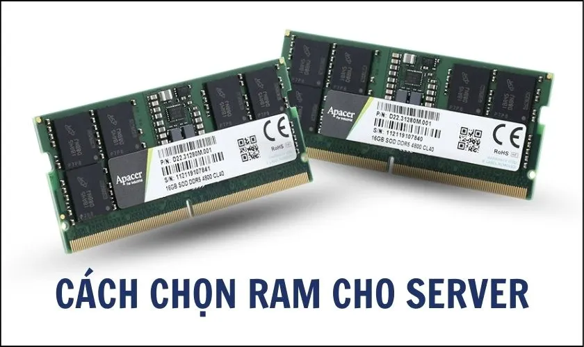 Tiêu chí để chọn RAM Server phù hợp nhu cầu
