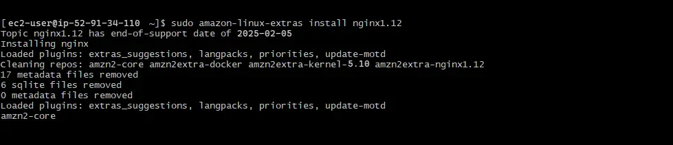Cài đặt package Nginx