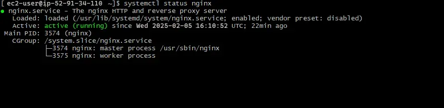 Check trạng thái dịch vụ Nginx