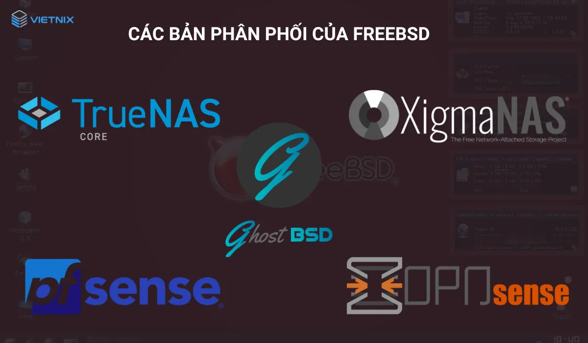 5 bản phân phối nổi bật