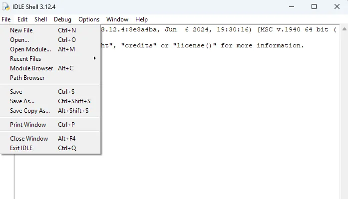 Mở IDLE và chọn File → New File để mở trình soạn thảo mới.