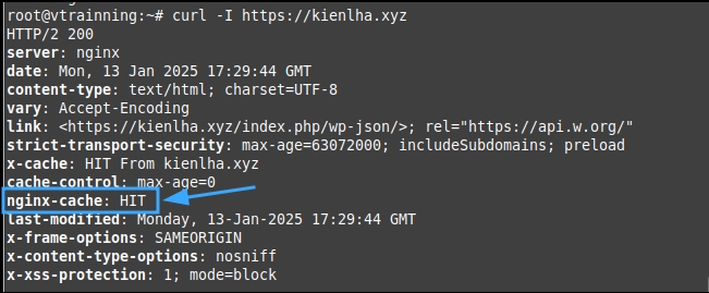 Kiểm tra lại sau khi cấu hình NGINX FastCGI Cache trên aaPanel