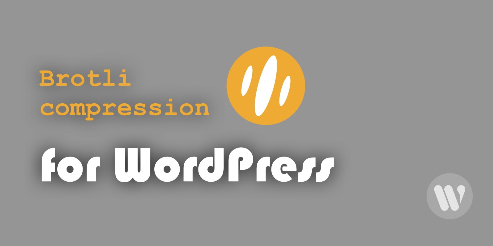 So sánh Brotli và GZIP: Nên chọn phương pháp nén nào cho WordPress? 21 Cách kích hoạt Brotli cho WordPress