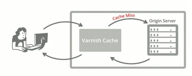 Cài đặt và sử dụng Varnish Cache cơ bản