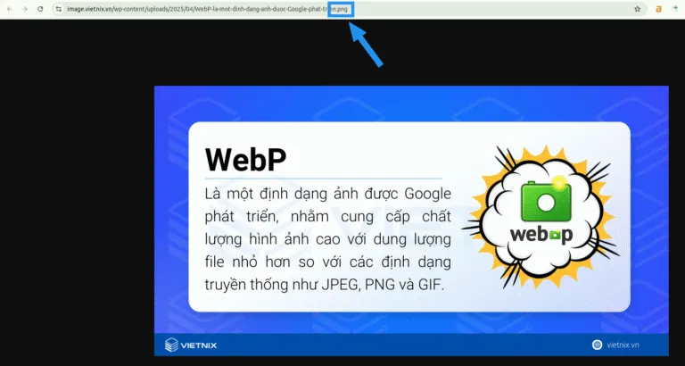 Kiểm tra URL của ảnh trong thanh địa chỉ
