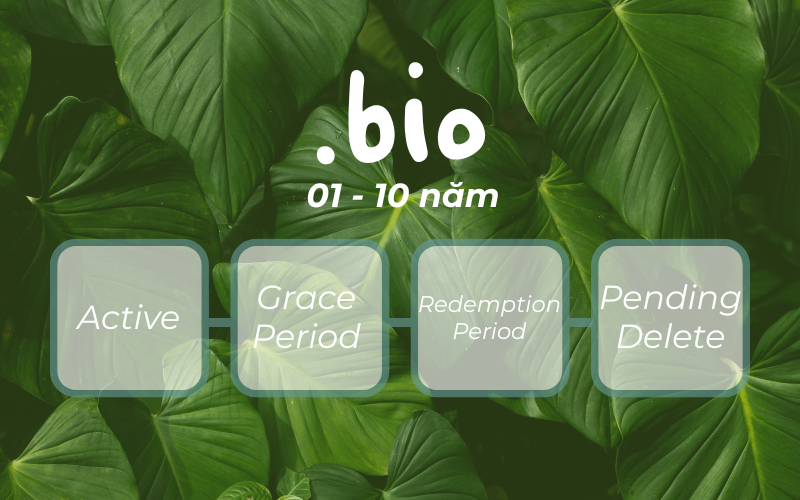 Thời hạn và vòng đời của tên miền .bio