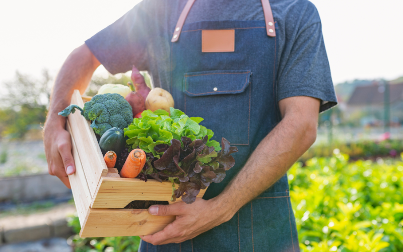 Các chiến dịch truyền thông về lối sống xanh cũng có thể sử dụng tên miền .bio