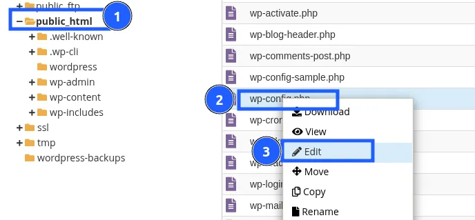 Edit file wp-config.php