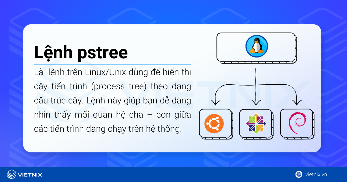 pstree là một lệnh trên Linux/Unix dùng để hiển thị cây tiến trình (process tree)