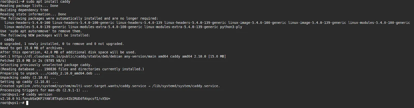 Kiểm tra phiên bản Caddy