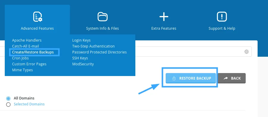 Chọn Restore backup