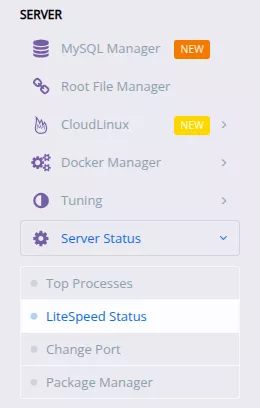 Truy cập LiteSpeed Status 