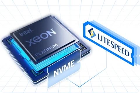 img sp nmvehosting 1