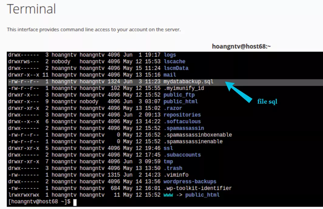Upload file .sql cần import 