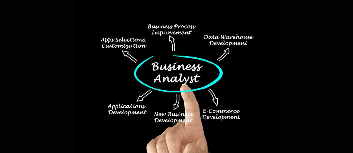 Business Analyst