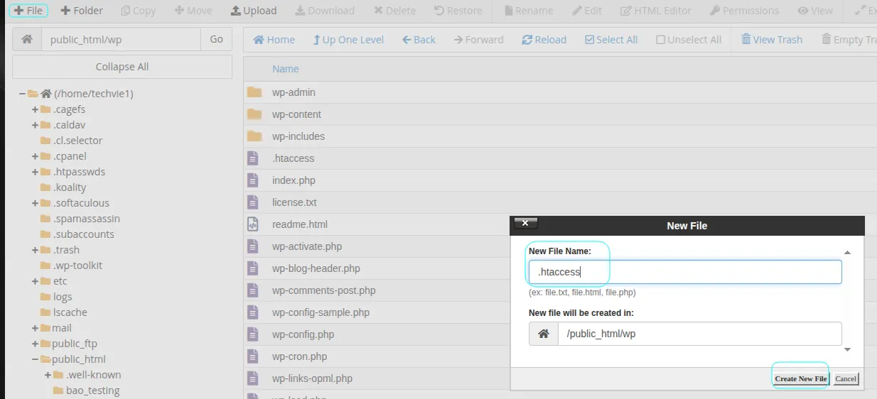 Bước 1 cách quản lý MIME Types trên cPanel 
