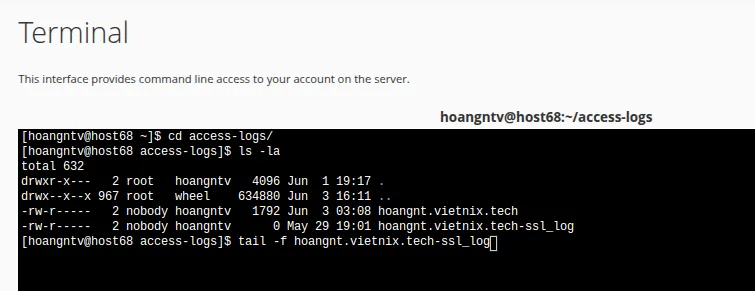 Sử dụng lệnh để xem file Raw Access log