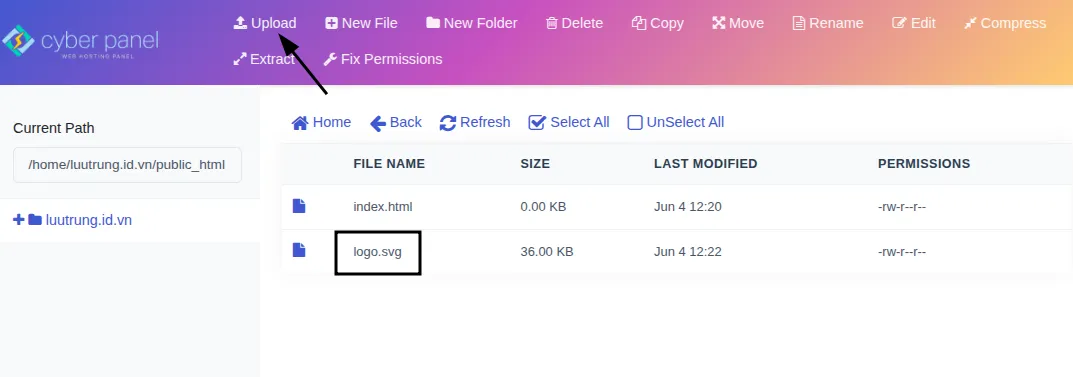 Hướng dẫn tạo bản ghi BIMI trong CyberPanel 