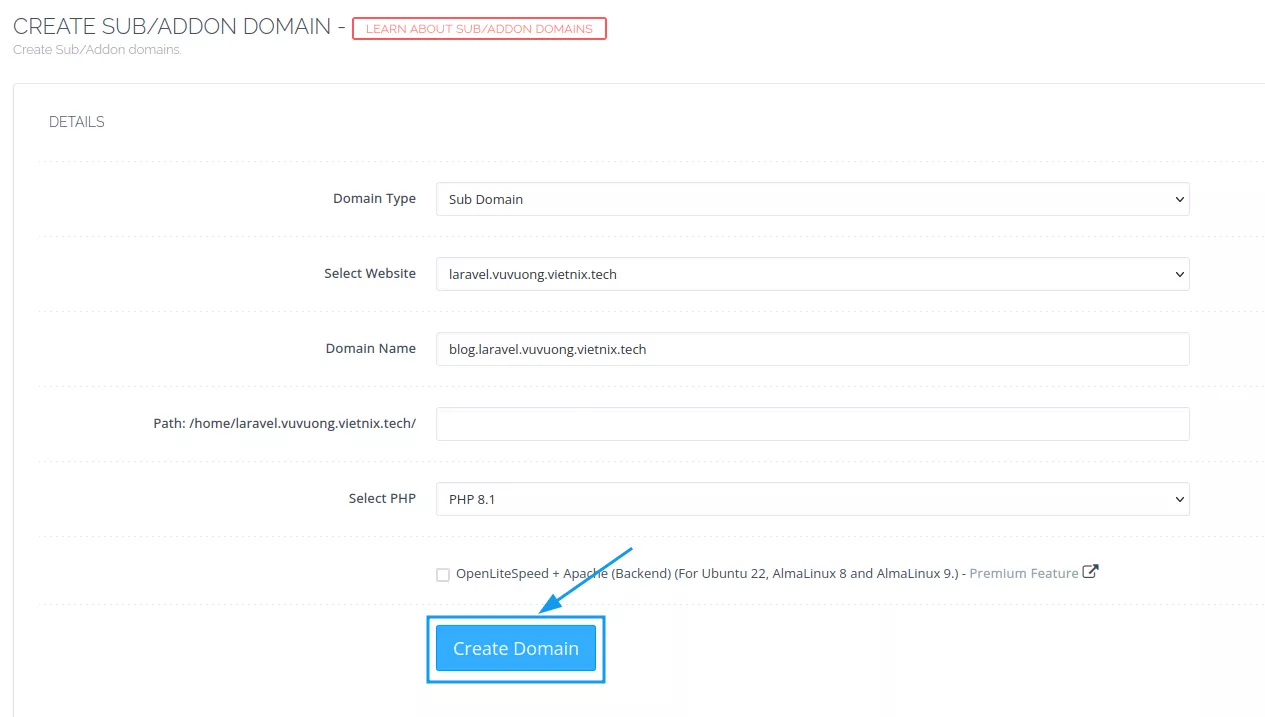 Điền thông tin subdomain 