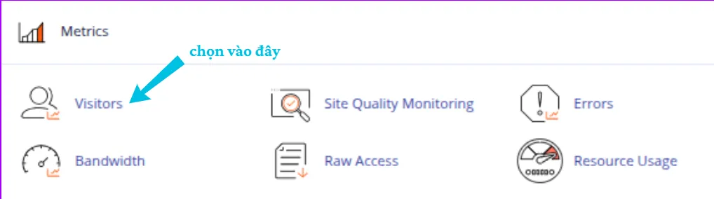 Truy cập công cụ Visitors trên cPanel