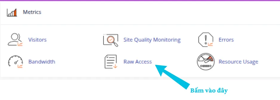 Truy cập Raw Access trên cPanel