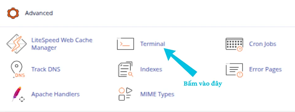 Truy cập Terminal trên cPanel