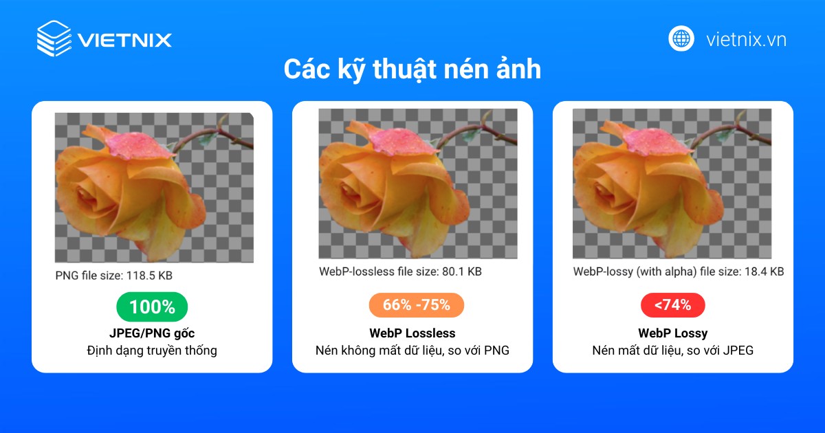 WebP là gì? Lợi ích, cách dùng & chuyển đổi ảnh WebP 26 webp la gi 2 1