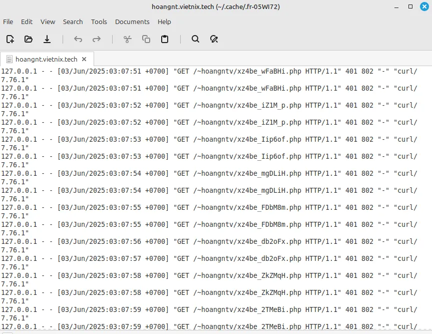 Xem nội dung file Raw Access Log