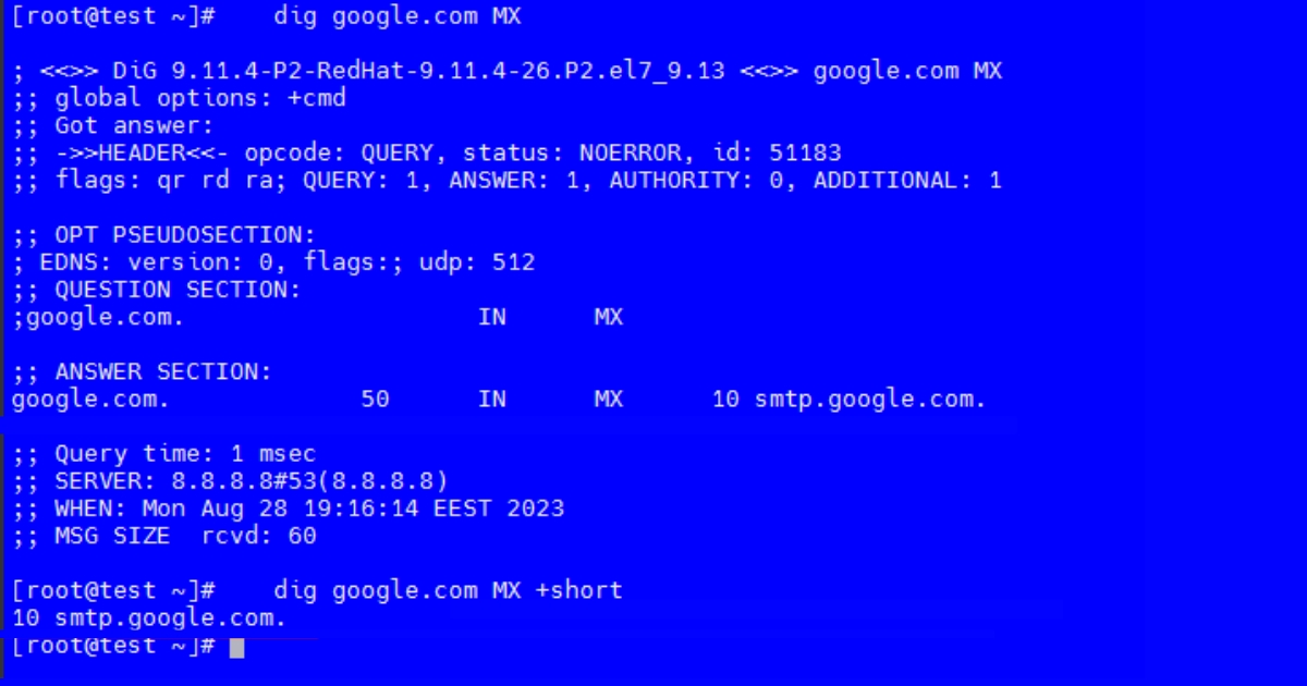 Kiểm tra trên macOS/Linux bằng lệnh dig