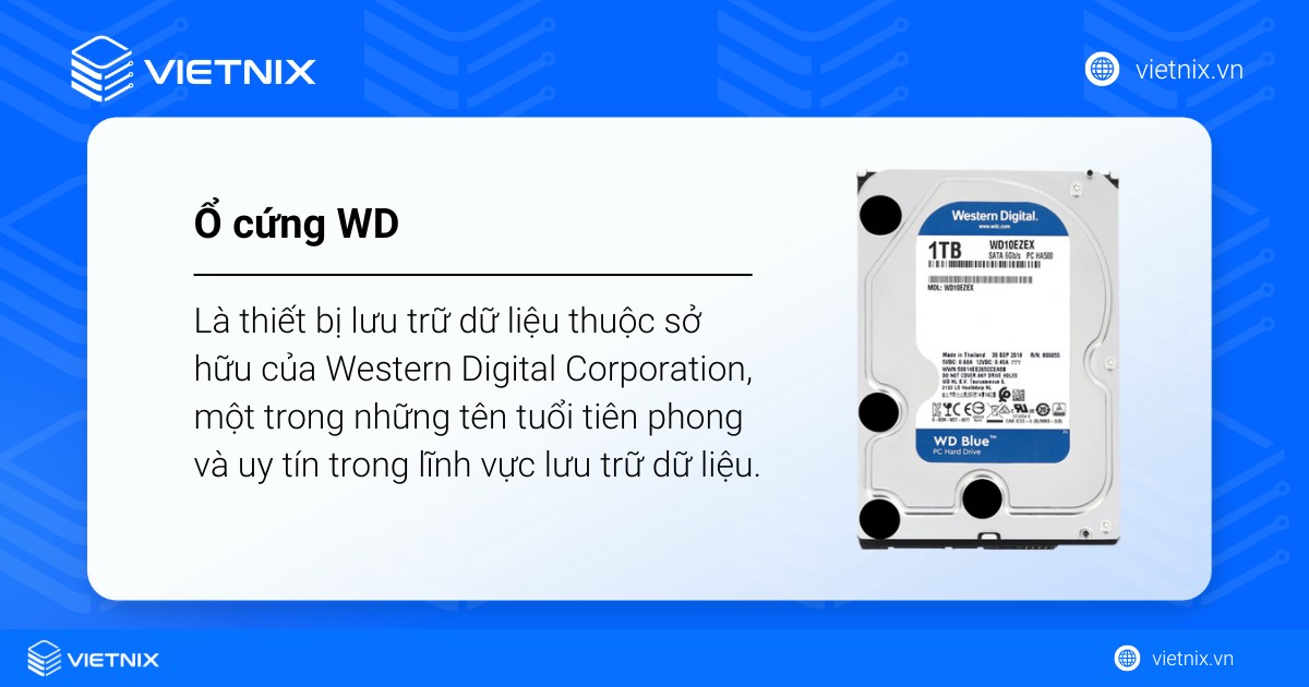 Ổ cứng WD là gì? Phân biệt màu sắc của ổ cứng WD 41 o cung wd 1