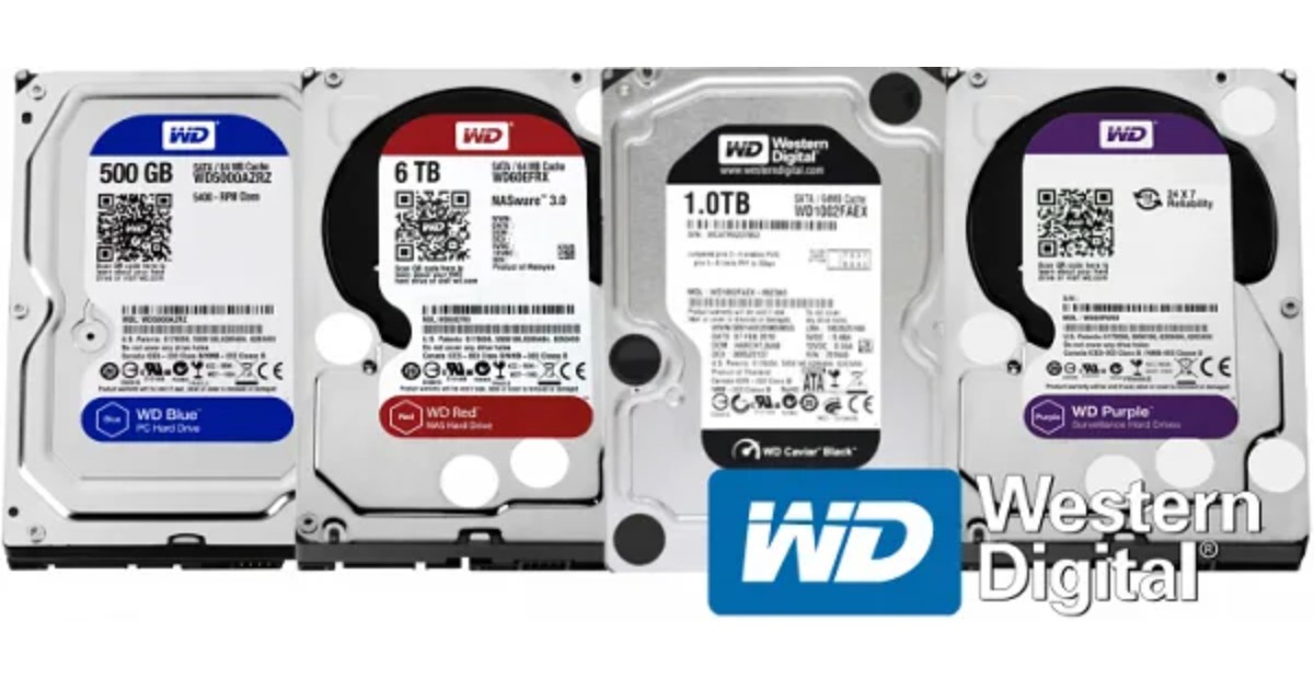 Ổ cứng WD là gì? Phân biệt màu sắc của ổ cứng WD 42 o cung wd 2