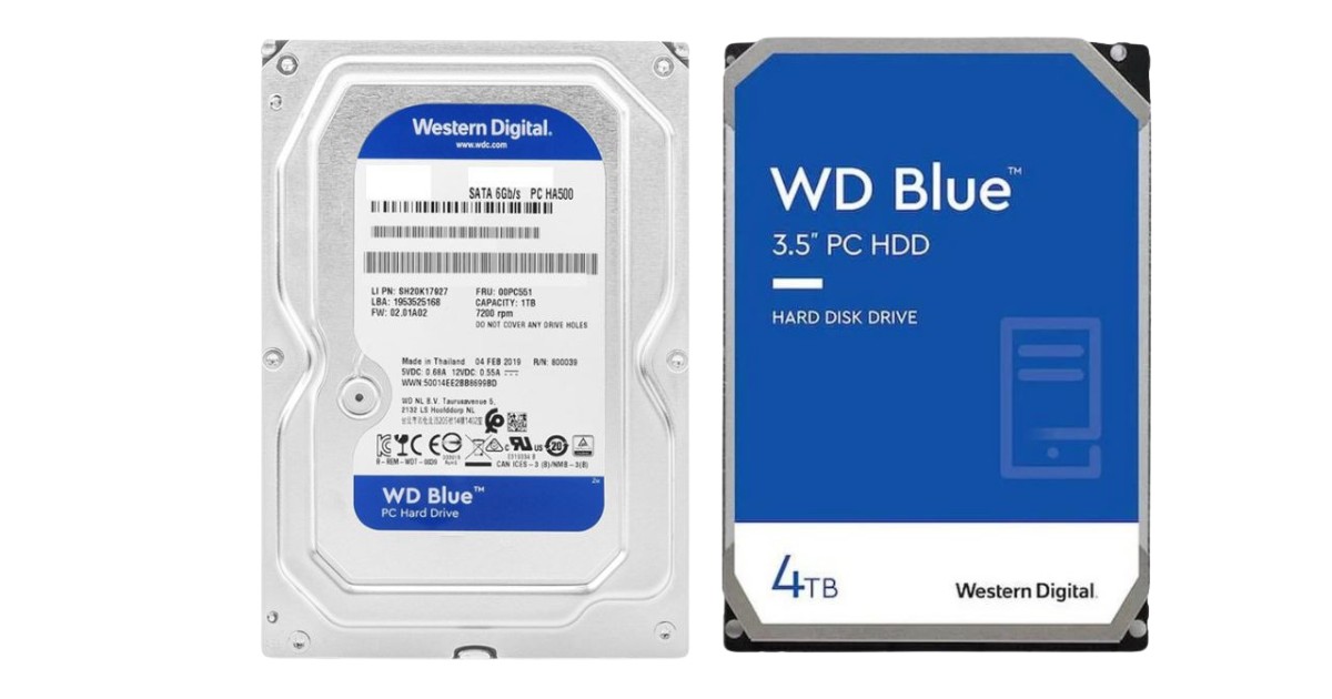 Ổ cứng WD là gì? Phân biệt màu sắc của ổ cứng WD 48 o cung wd 4