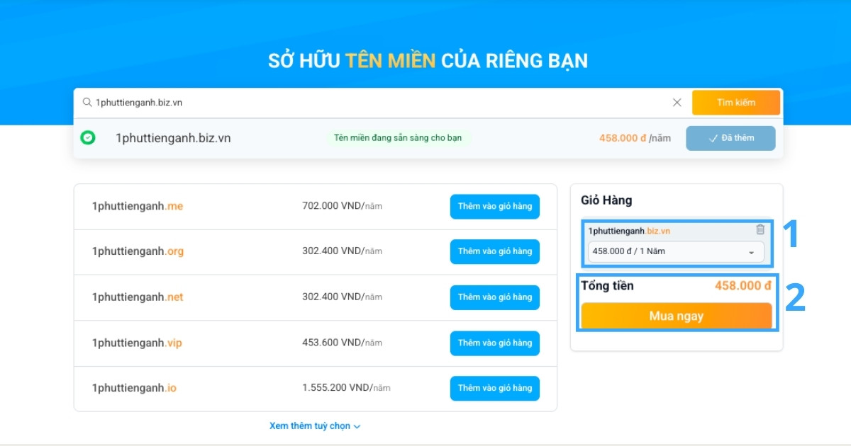 Hướng dẫn đăng ký tên miền .biz.vn nhanh chóng tại Vietnix