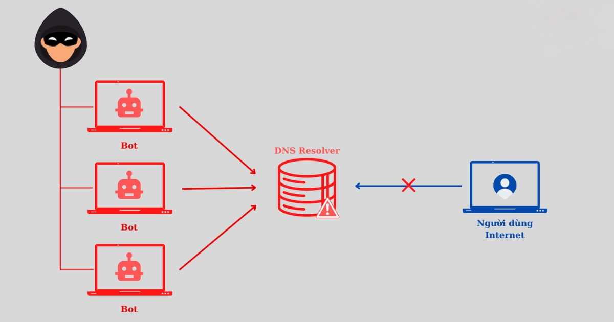 Tấn công DNS Flood (Nguồn: Internet)