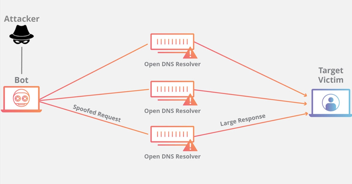 Tấn công DNS Amplification (Nguồn: Internet)
