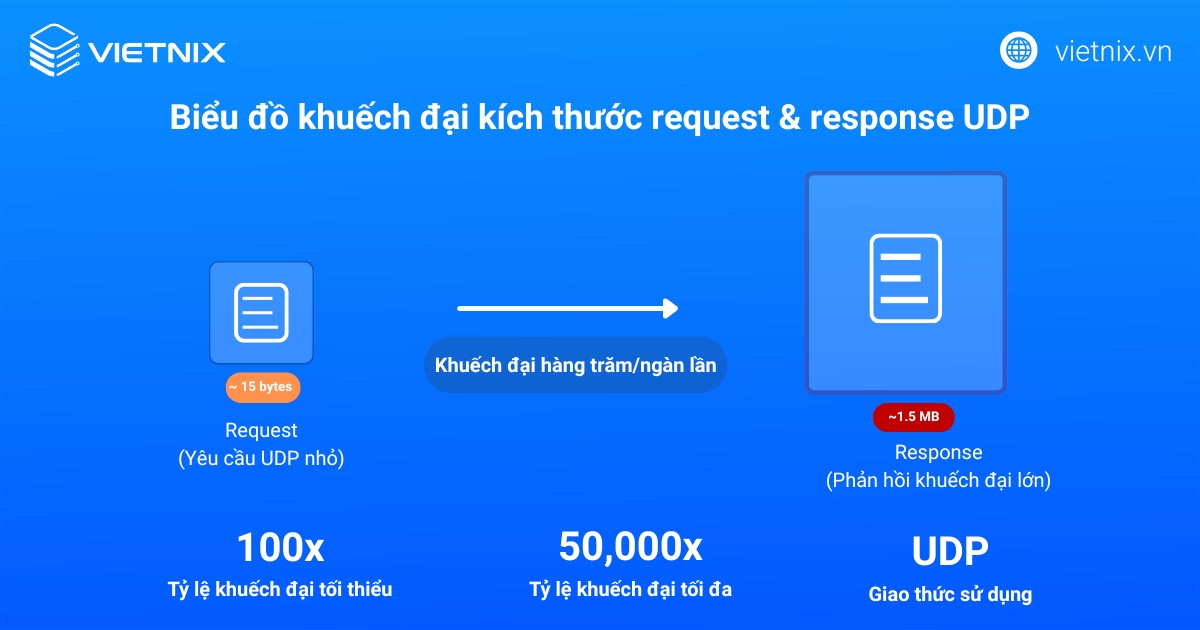 Biểu đồ khuếch đại UDP