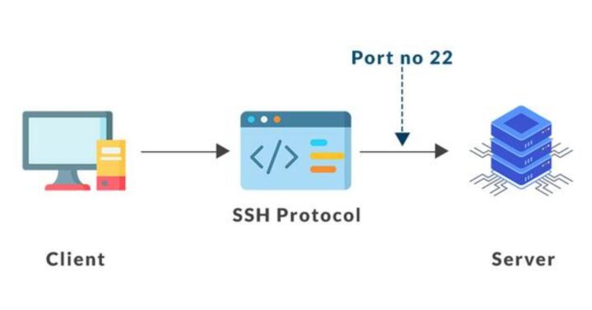 File Server FTP/SFTP (Nguồn: Internet)