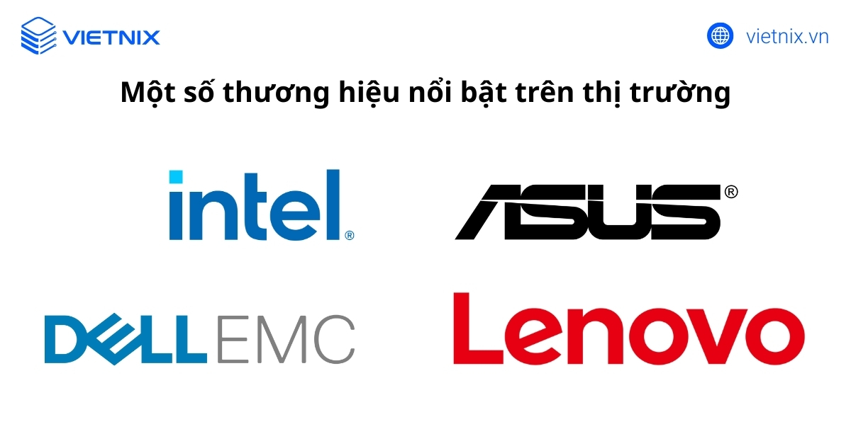 Một số thương hiệu nổi bật trên thị trường