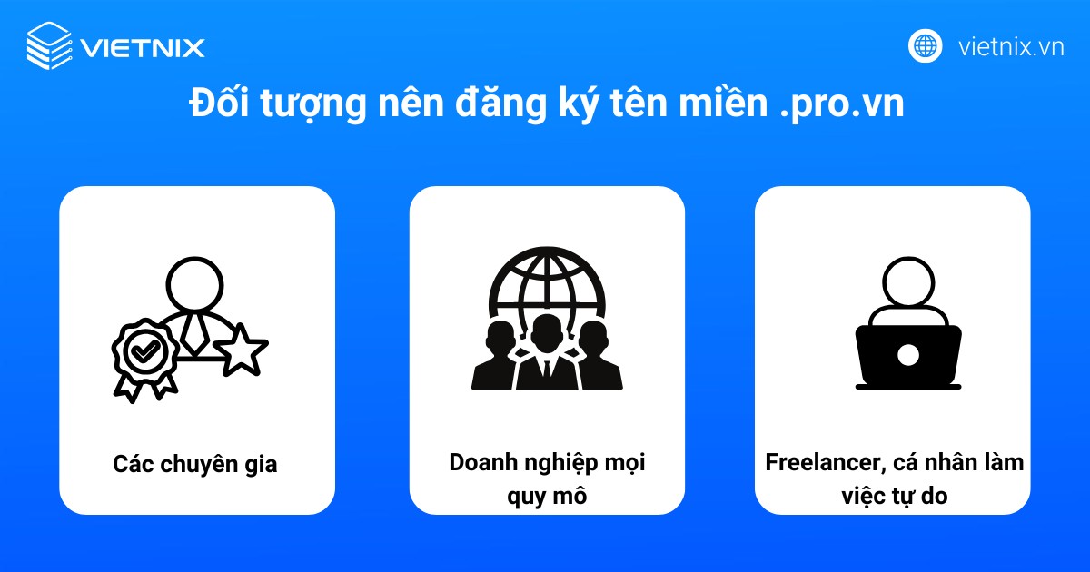 Đối tượng nên đăng ký tên miền .pro.vn