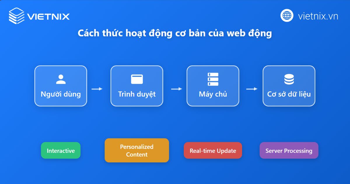 Web động là gì? Web tĩnh là gì? Ưu nhược điểm và phân biệt web động với web tĩnh 54 Cách thức hoạt động của web động