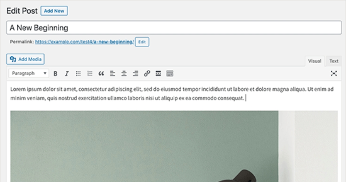 Hướng dẫn cách sửa lỗi Updating failed. Could not update post in the database trên WordPress 34 Sử dụng Classic Editor