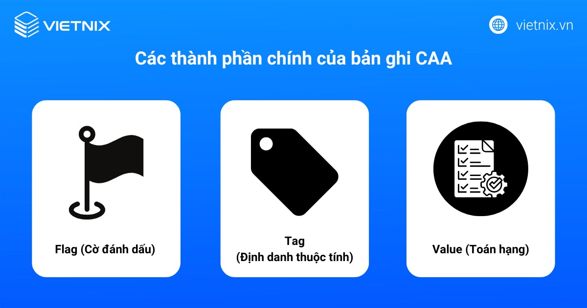 Các thành phần chính của bản ghi CAA